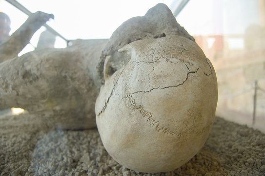 Human Skull in Ash - Pompeii - Italy