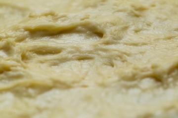 Raw yeast cake growing in bowl