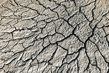 Cracked soil texture