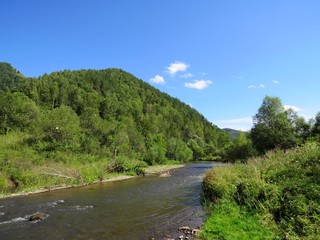 Fototapeta na wymiar the Sarasa river and the foothills of the Altai
