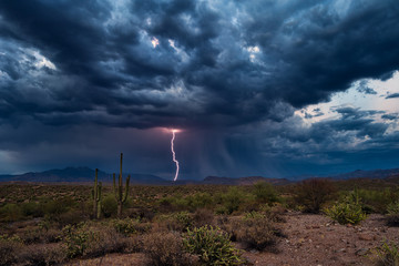 Plakat Thunder storm with lightning