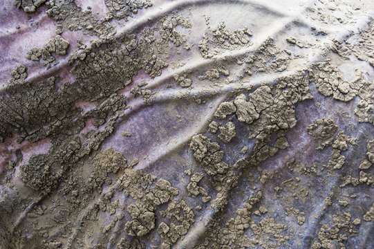 Veins and mud on the back of an African Elephant
