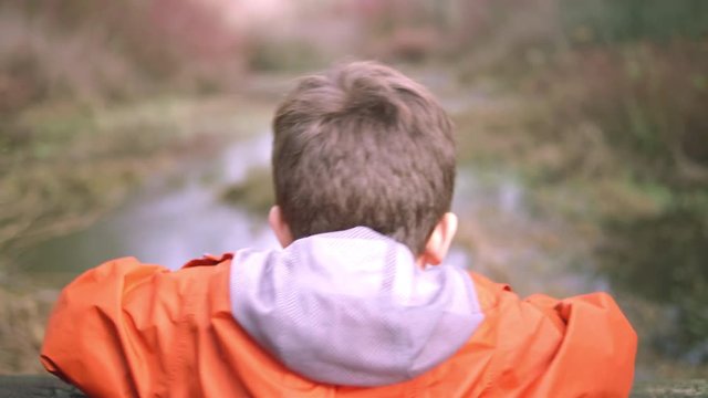 A little boy hops up and looks over a railing at a swamp 