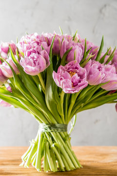 Fototapeta pink tulips