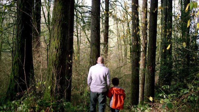 A father and son holding hands and walking through a forest, brother runs down the path