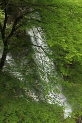 原不動滝　兵庫県