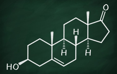 Structural model of DHEA