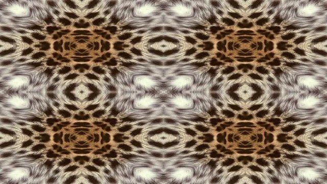 Abstract background rolling in seamless loop. Natural fur kaleidoscopic pattern. Animation of abstract background shapes. Natural exotic oriental pattern originally based on leopard fur.
