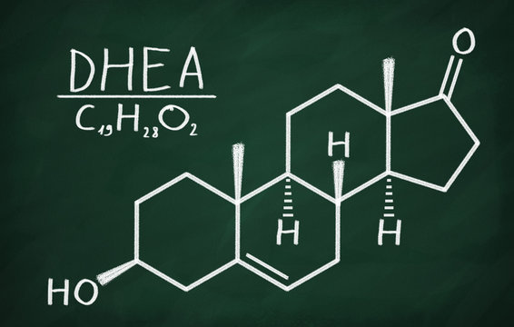 Structural model of DHEA
