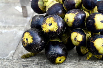 Asian Palmyra palm, Toddy palm
