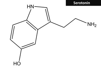 Molecular structure of serotonin