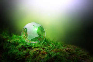 Obraz na płótnie Canvas Earth World Globe Crystal on Green Mos