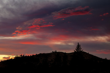Mountain range with trees under sunset sky in Northern California