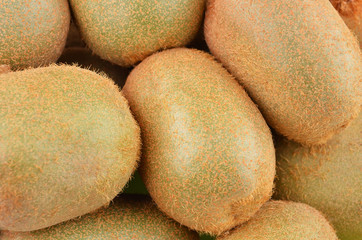 Green kiwi fruit (Actinidia deliciosa)