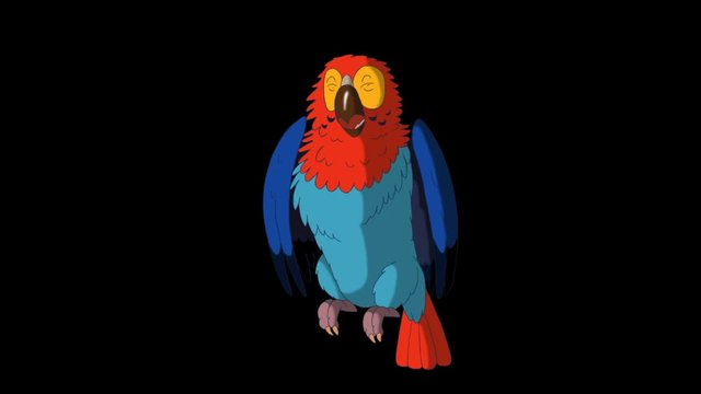 Colorful Parrot Gets Angry. Animated footage with alpha channel. Looped motion graphic.