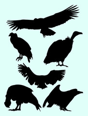 Condor, falcon, vulture birds animal silhouette. Good use for symbol, logo, web icon, mascot sign or any design you want.