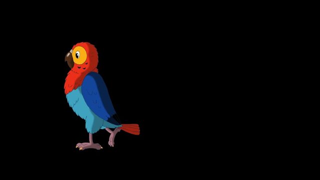 Colorful Parrot Walks and Stops. Animated footage with alpha channel. Looped motion graphic.