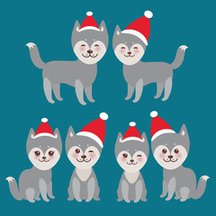  New Year's and Christmas funny gray husky dog in the red hat, Kawaii face with large eyes and pink cheeks, boy and girl  on blue background. Vector