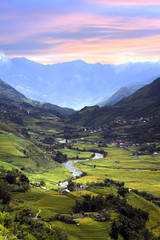 Obraz premium Rice field terraces at Tavan village, Sapa, Vietnam