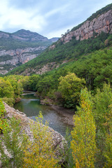 Fototapeta na wymiar La garonne dans les Pyrénées en automne, à quelques kilomètres de sa source, Val d'Aran, Espagne