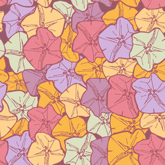 Fototapeta na wymiar bindweed floral seamless pattern flowers contours pink lilac blue orange on maroon background hand-drawn. Vector