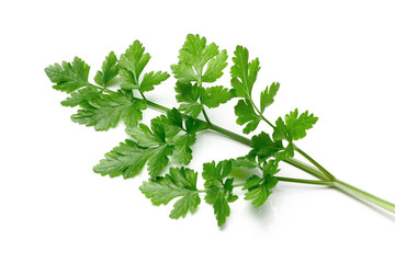 Fresh Parsley isolated
