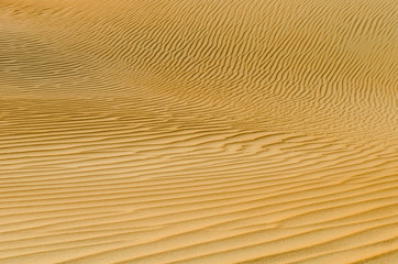 Fototapeta premium Structure of sand dunes in the desert, United Arab Emirates, Rub al Khali Desert