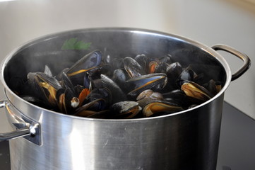 Mussels in casserole