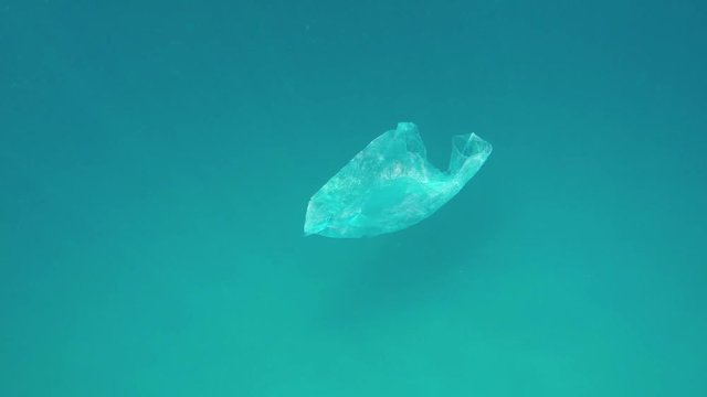 eine alte Plastiktüte treibt im Meer und verschmutzt es