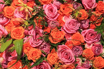 Mixed pink and orange roses