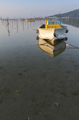 朝のアオサ養殖場　沖縄