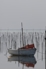 朝のアオサ養殖場　沖縄