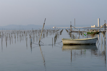 朝のアオサ養殖場　沖縄