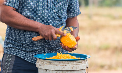 moveing a knife to chop papaya for cooking