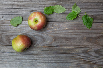 ingredients on wood