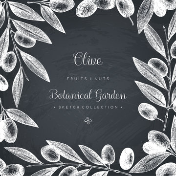 Olive branch wreath. Vintage card design with hand drawn olive tree sketch. Vector template. Botanical illustration on chalkboard