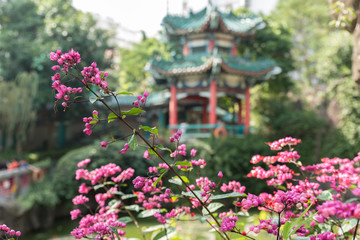 Fototapeta premium Beautiful pink flower with chinese temple background