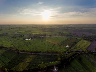 Fototapeta na wymiar Sunset above Rice Field 