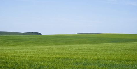 Agricultural landscape in Podolia region of Ukraine