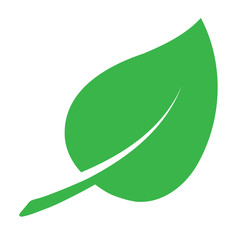Eco icon with green leaf. Isolated in flat style