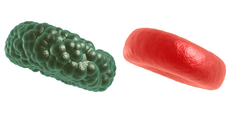 Green illness and red blood cell. 3d render on white. Healthcare and medical concept.