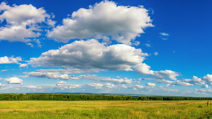 панорама сельскохозяйственного поля летом в солнечный день с облаками, Россия