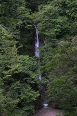 Foto op Canvas 大山滝　鳥取県 © yujismilebituke