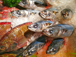 Group of mackerel fish with ice for sell at market