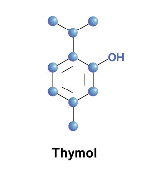 Thymol, IPMP, is a natural monoterpene phenol derivative of cymene, isomeric with carvacrol, found in oil of thyme, and extracted from Thymus vulgaris