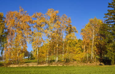 Vorau Puchegg, Styria, Austria, Vorau-Puchegg
