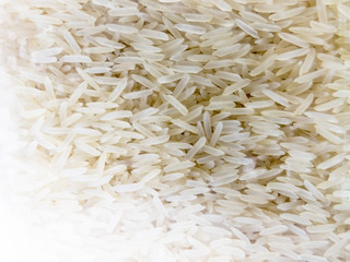 natural background of jasmin rice
