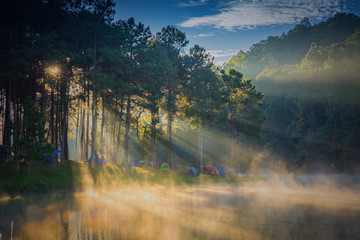The lake in the mist at sunrise at Pang Ung, Maehongson. - obrazy, fototapety, plakaty