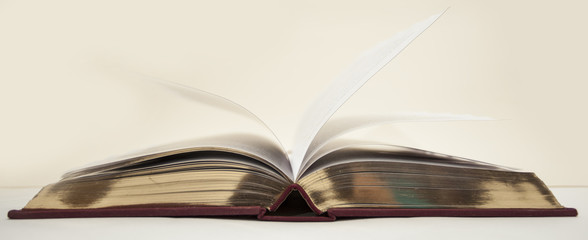 Open antique book with gold cut