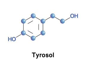 Tyrosol is a phenylethanoid, a derivative of phenethyl alcohol. It is a natural phenolic antioxidant. Structure model of molecule made in vector.